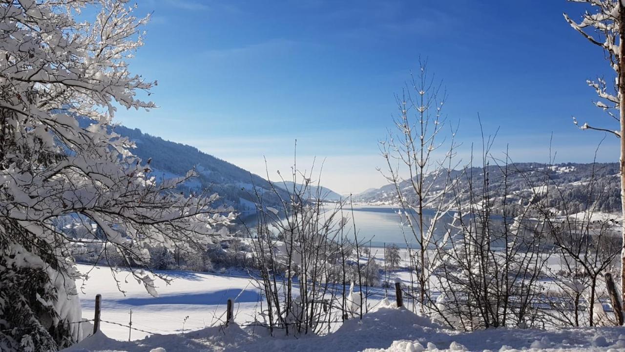 Ferienwohnung Fanny Am See Immenstadt im Allgaeu Luaran gambar
